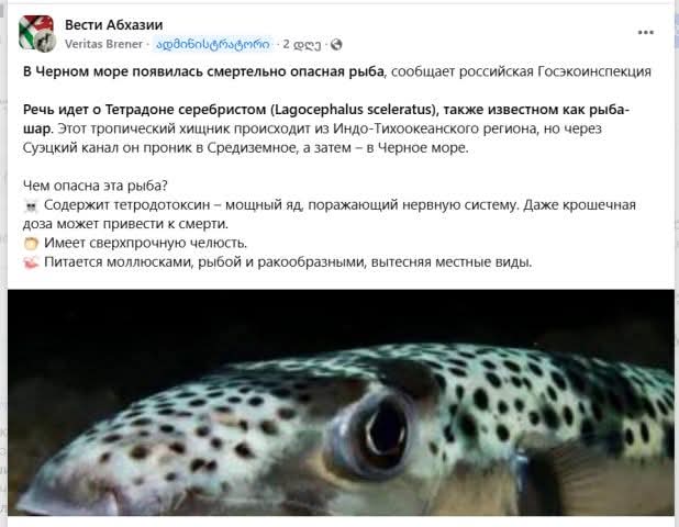FB IMG 1751358321085