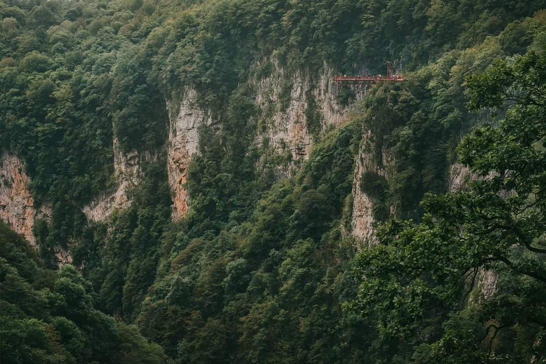 საქართველოს ყველაზე მრავალფეროვანი ეროვნული პარკი-ოკაცეს კანიონი