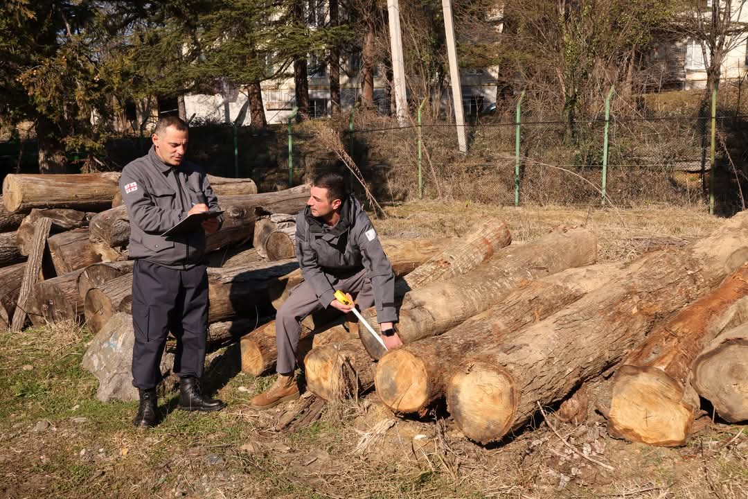 ხარაგაულში წითელი ნუსხით დაცული წაბლის სამასალე მერქნის უკანონოდ მოპოვების ფაქტი გამოვლინდა 