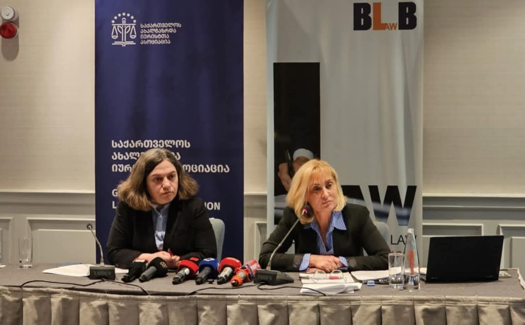 მზია ამაღლობელის ადვოკატები მისთვის აღკვეთის ღონისძიების გაუქმებას ითხოვენ 
