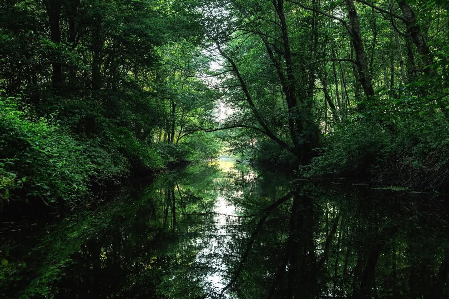 იმერეთში ახალი დაცული ტერიტორია-რიონის აღკვეთილი დაარსდება 