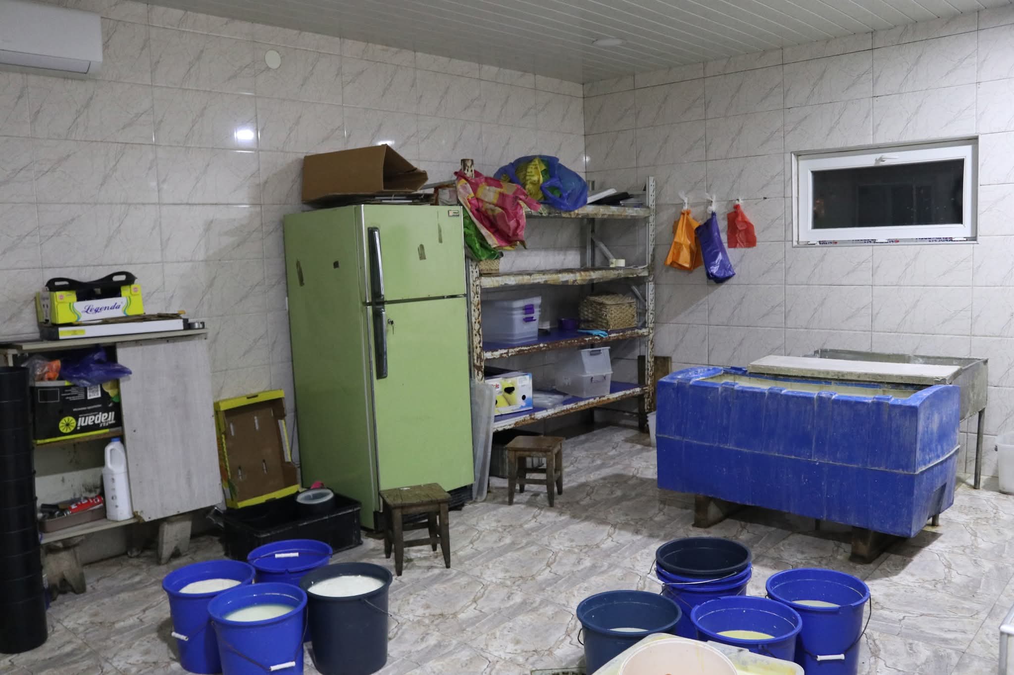 იმერეთში ყველის არალეგალური საწარმოები გამოვლინდა