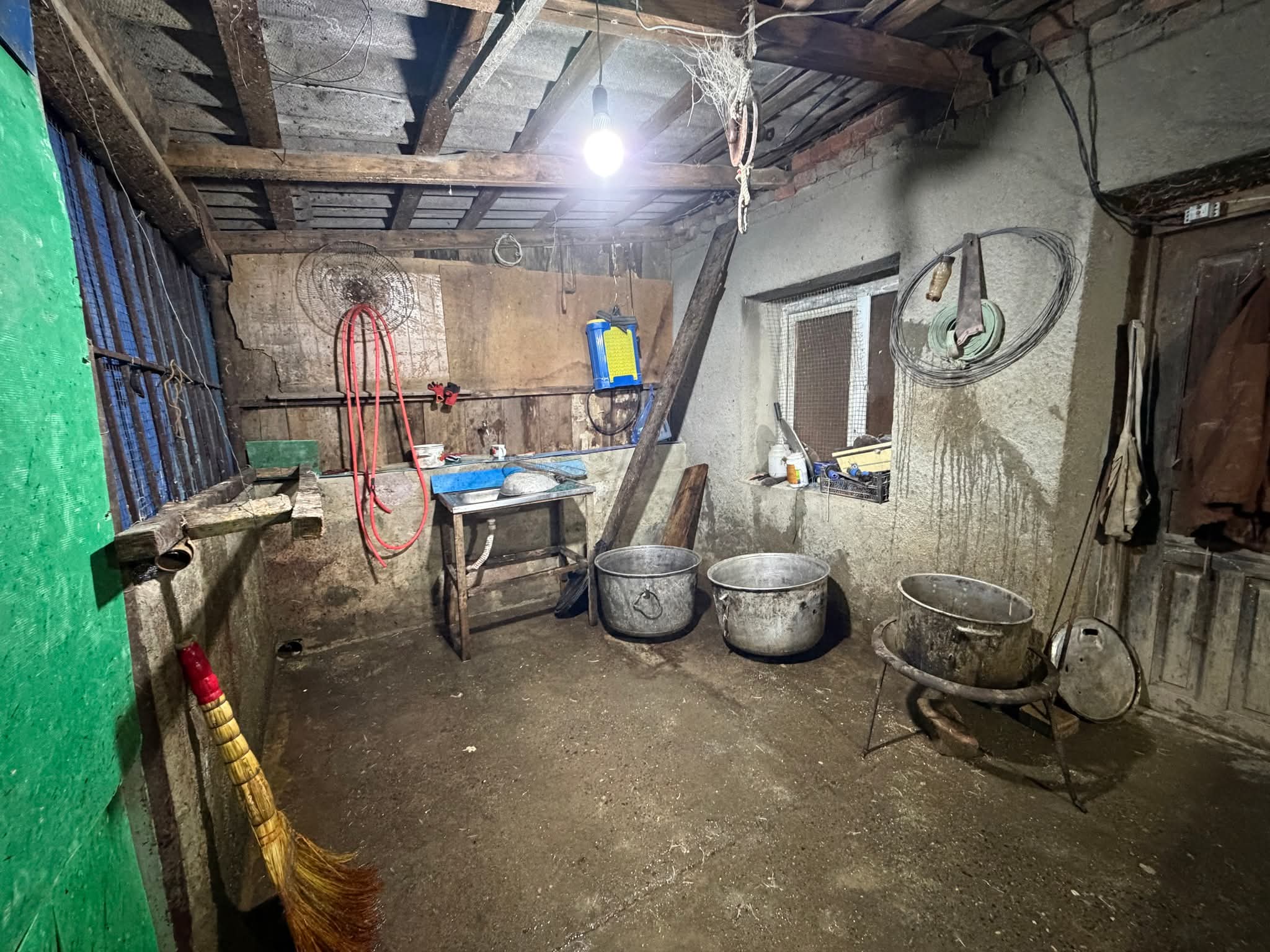 ზესტაფონისა და საჩხერის მუნიციპალიტეტებში ფრინველთა არალეგალური სასაკლაოები გამოვლინდა