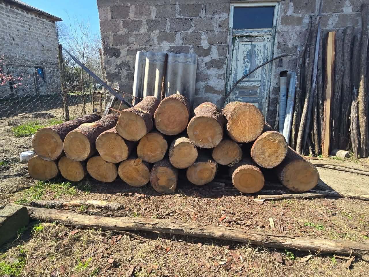 ხონის მუნიციპალიტეტში უკანონო სახერხი საამქროები გამოვლინდა 