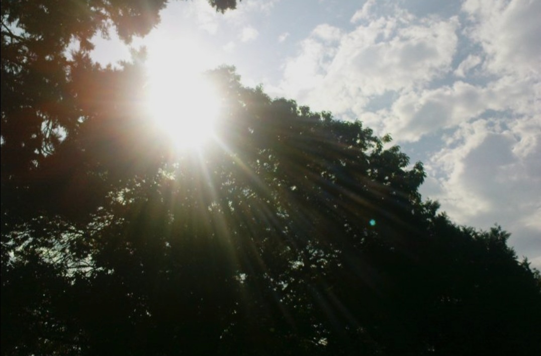 8 თებერვლამდე დასავლეთ საქართველოში თბილი,ქარიანი ამინდი იქნება