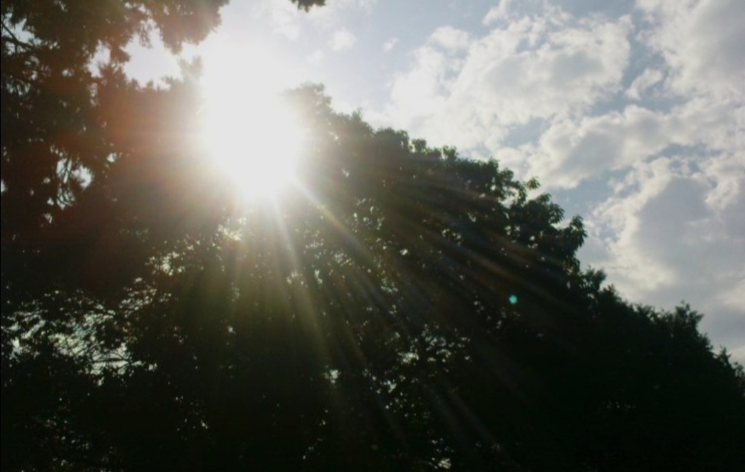 ხვალ უნალექო ამინდი იქნება, შემდეგ კი მოწვიმს-21-23 თებერვლის პროგნოზი