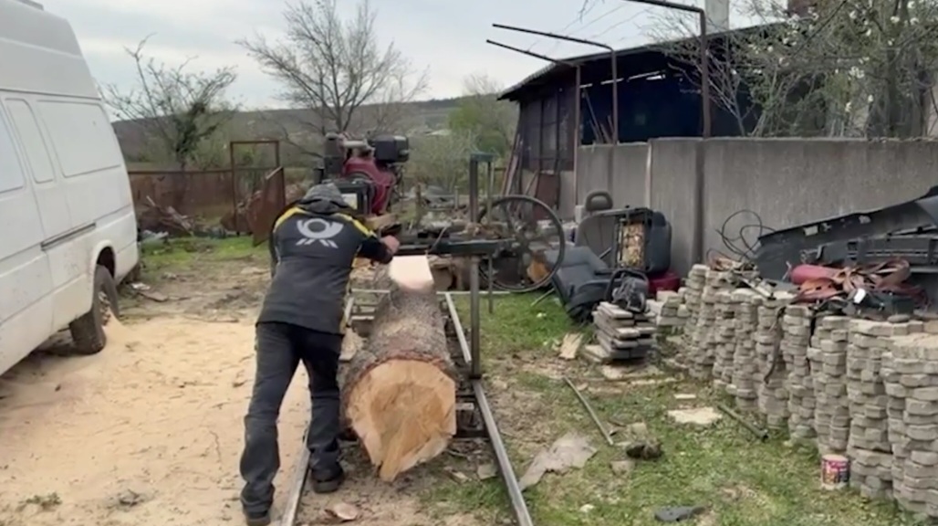 თერჯოლის მუნიციპალიტეტში უკანონო სამეწარმეო საქმიანობისა და ხე-ტყის უკანონო გაჩეხვის ფაქტზე ორი პირი დააკავეს