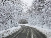 თოვლი,ყინვა,შტორმი და ლიპყინული-საქართველოში უამინდობა კიდევ რამდენიმე დღე გაგრძელდება