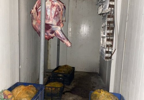 ზესტაფონსა და ვანში არალეგალური სასაკლაოები გამოვლინდა 